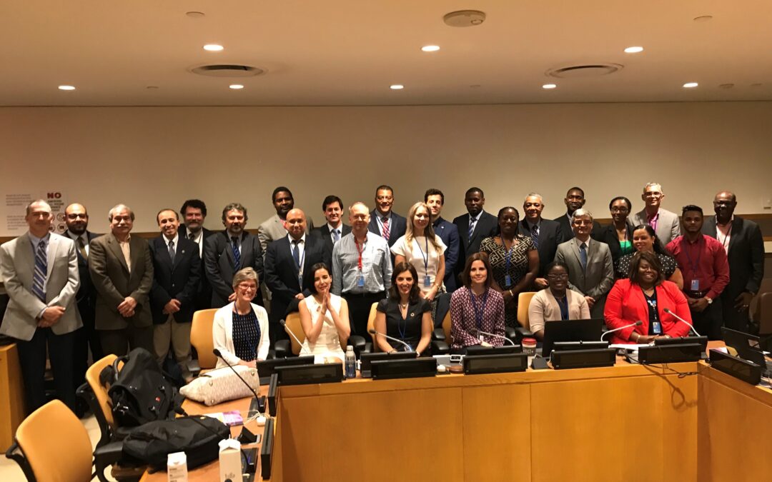 Director de IGN-JJHM participó en la novena sesión del Comité de Expertos de las Naciones Unidas en Gestión Mundial de la Información Geoespacial (UN-GGIM)